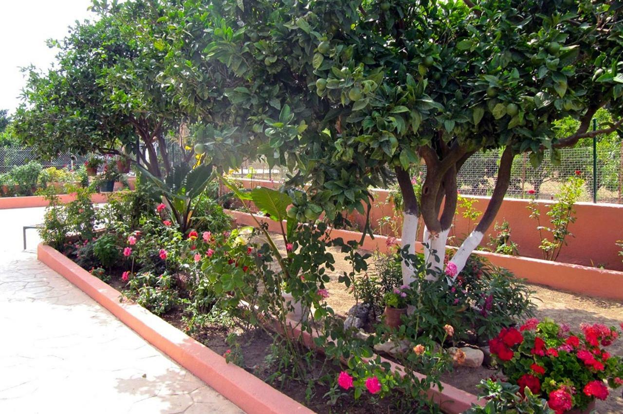 Artemis Superb 2 Bedroom Apartment 700 M Away From The Beach Minia Luaran gambar